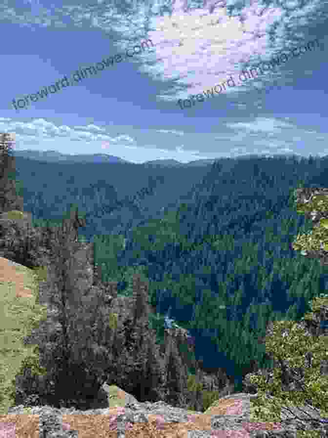 A Backpacker Hiking Through A Forest In The Umpqua National Forest. Backpacking Oregon: From River Valleys To Mountain Meadows