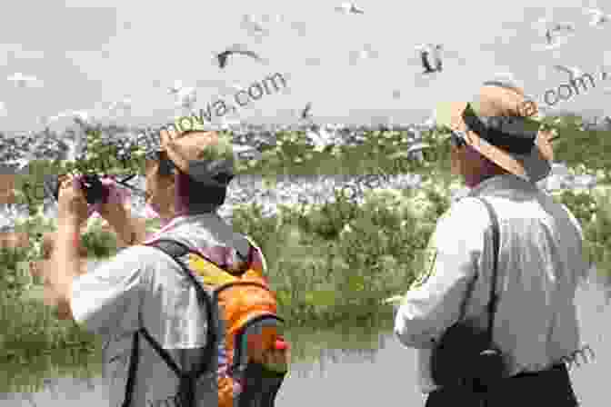 A Group Of People Enjoying A Guided Birdwatching Tour Nature Travel Guide: Birds Butterflies And Dragonflies Of The South West Coast England (Nature Travel Guide Series)