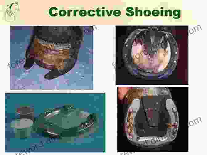 Case Study Demonstrating The Application Of Corrective Shoeing Pathological Horse Shoeing: A Theory And Practice Of The Shoeing Of Horses By Which Every Disease Affecting The Foot Of The Horse May Be Absolutely Cured Action Of The Limbs Effectively Corrected