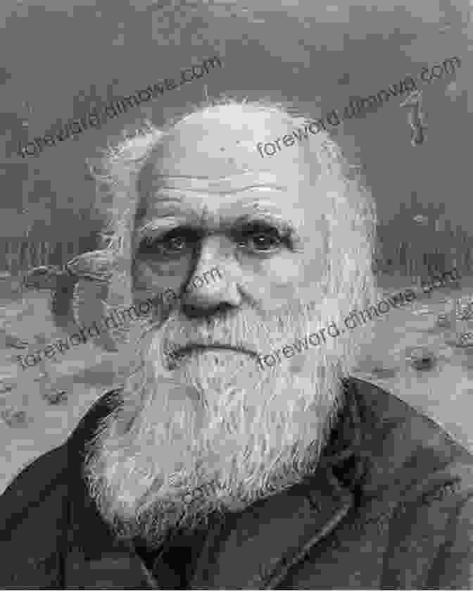 Charles Darwin, A Black And White Portrait Depicting A Bearded Man With An Intense Expression And Penetrating Gaze. Charles Darwin (Critical Lives) J David Archibald