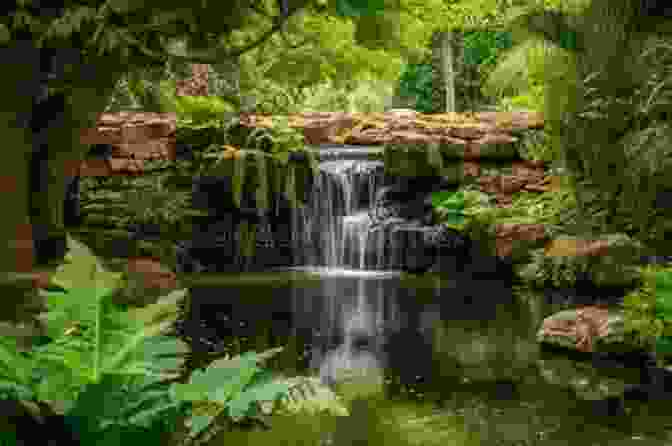 Eireann Corrigan Sitting By A Cascading Waterfall, Surrounded By Lush Greenery Remedy Eireann Corrigan