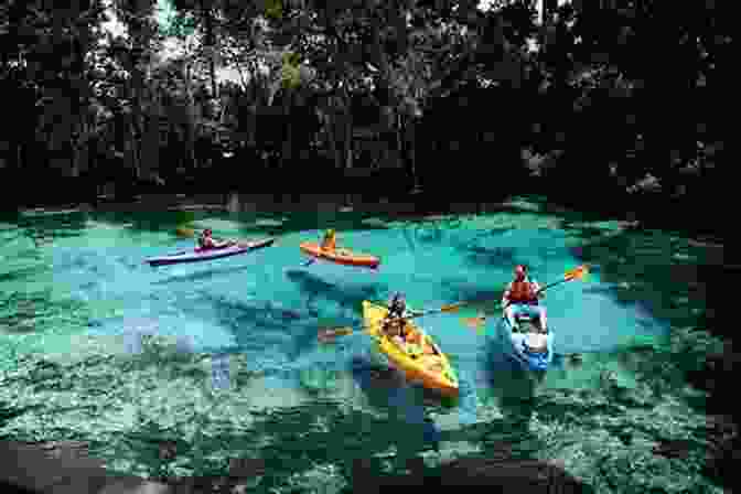 Kayaking And Canoeing In Florida Wild Florida Waters: Exploring The Sunshine State By Kayak And Canoe