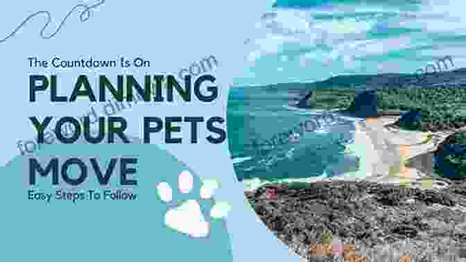 Planning For Pet Relocation 52 Activities For Successful International Relocation