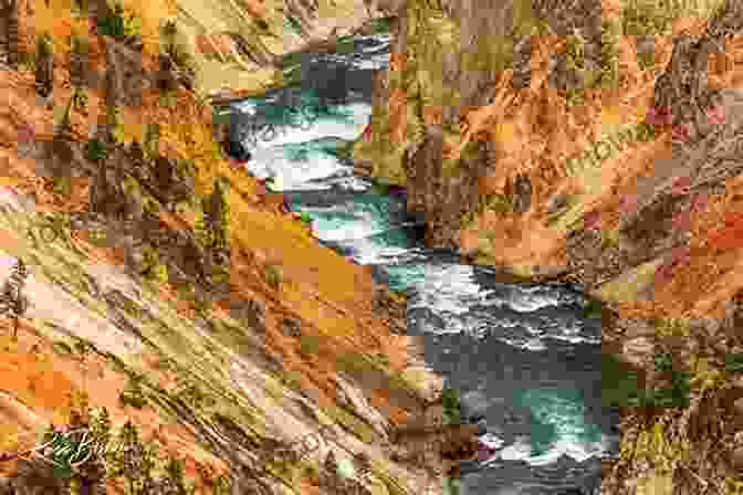 View Of The Grand Canyon Of The Yellowstone In Yellowstone National Park Discover The Yellowstone National Park: Everything You Need To Know To Have A Good Trip