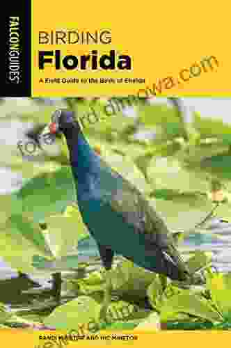 Birding Florida: A Field Guide To The Birds Of Florida (Birding Series)