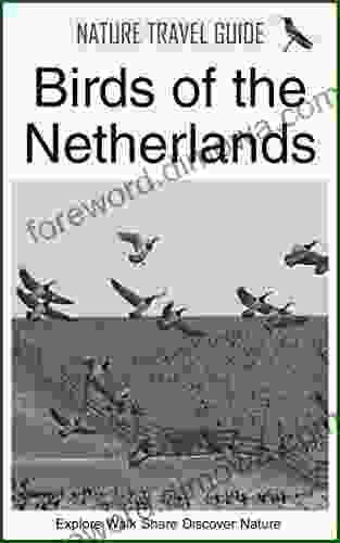 Nature Travel Guide: Birds Of The Netherlands (Nature Travel Guide Series)