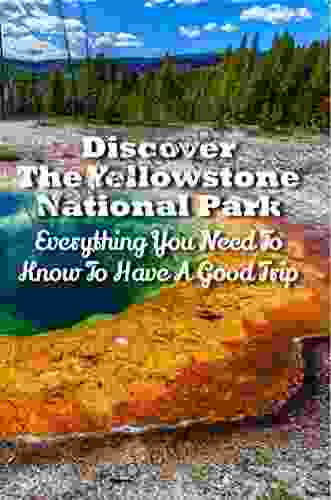 Discover The Yellowstone National Park: Everything You Need To Know To Have A Good Trip