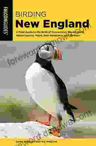 Birding New England: A Field Guide To The Birds Of Connecticut Rhode Island Massachusetts Maine New Hampshire And Vermont (Birding Series)