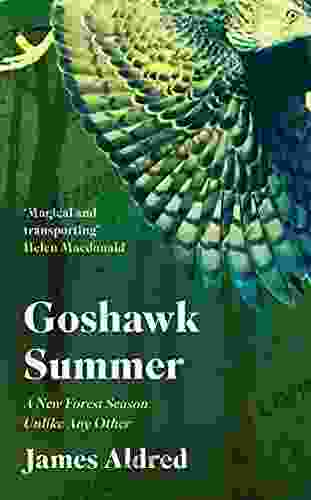 Goshawk Summer: A New Forest Season Unlike Any Other