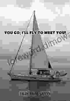 YOU GO I LL FLY TO MEET YOU