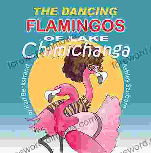 The Dancing Flamingos Of Lake Chimichanga: Silly Birds (Food For Kids 2)
