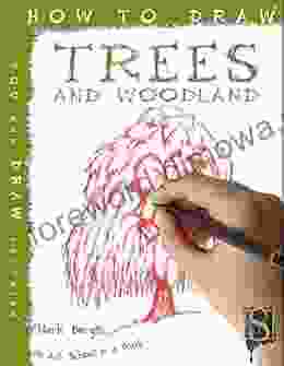 How To Draw Trees Mark Bergin