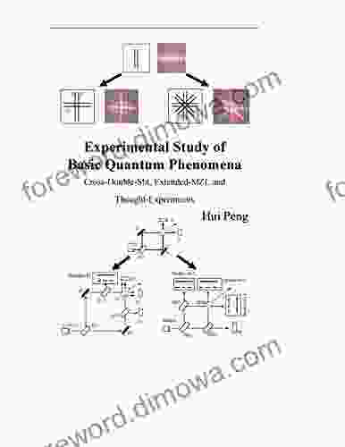 Experimental Study Of Basic Quantum Phenomena: Cross Double Slit Extended MZI And Thought Experiments (experimental Study Of Quantum Physics 1)