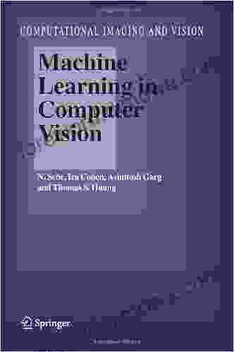 Machine Learning In Computer Vision (Computational Imaging And Vision 29)