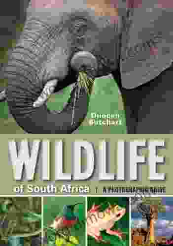 Wildlife Of South Africa: A Photographic Guide